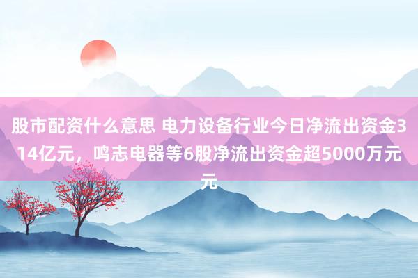 股市配资什么意思 电力设备行业今日净流出资金314亿元，鸣志电器等6股净流出资金超5000万元